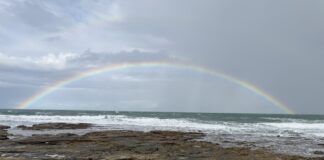 Photographer Ruth Fiechtner rainbow at Happy Valley