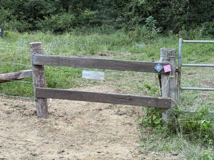 The section of fencing where Ms Johnson claims council removed the original barbed wire fencing and installed boards.