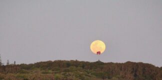 full moon rising over Pt Cartwright Greg Brydon on Aug 28, 2026