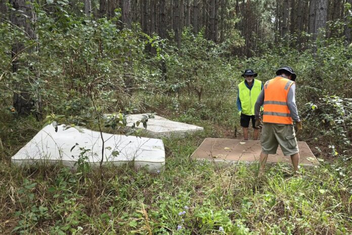 Two men clean old, dumped mattresses from bushland.