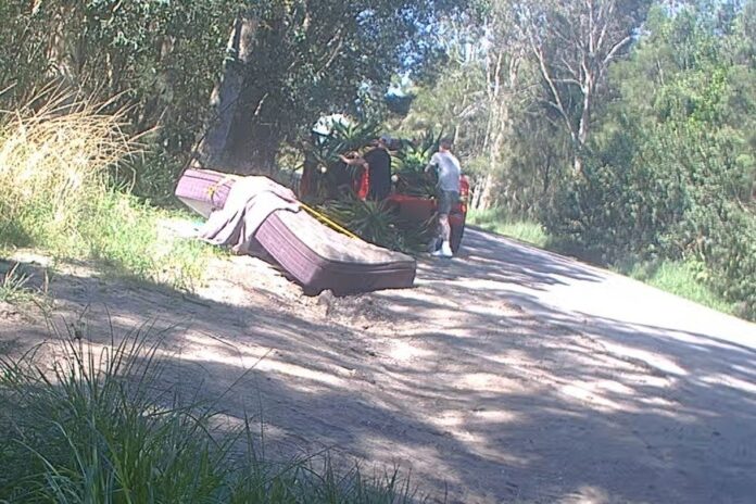 Items being dumped beside a road on the Sunshine Coast.