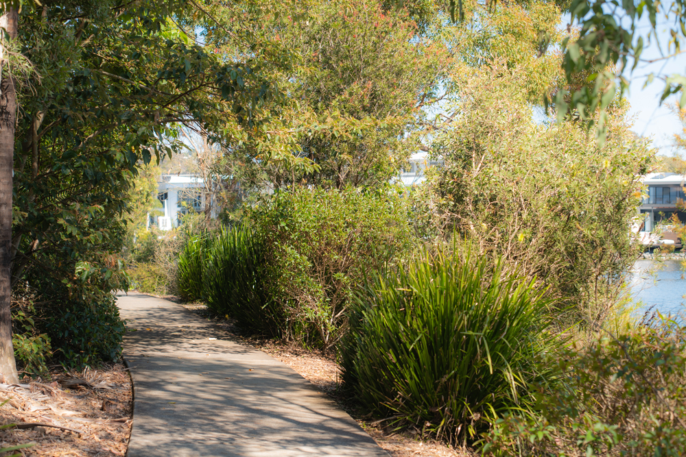 A walking track within Sunshine Cove's Lancelin Precinct