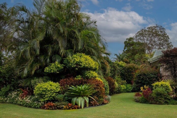 A typical garden, which will be open to the public during the 2026 Buderim Garden Club show.