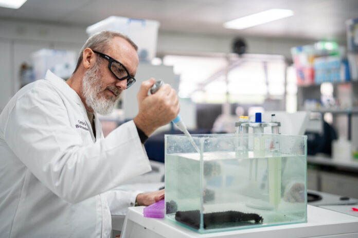 UniSC Centre for Bioinnovation PhD student Paul Wright. Picture: UniSC