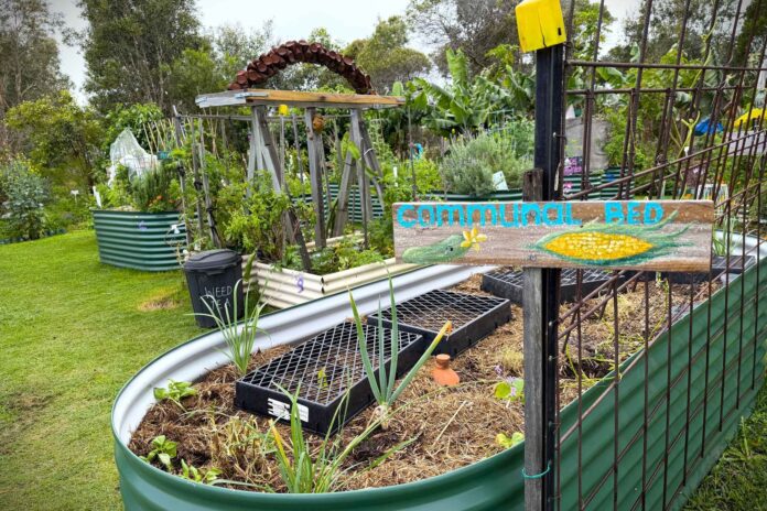 garden bed
