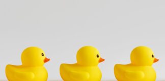 rubber ducks shutterstock