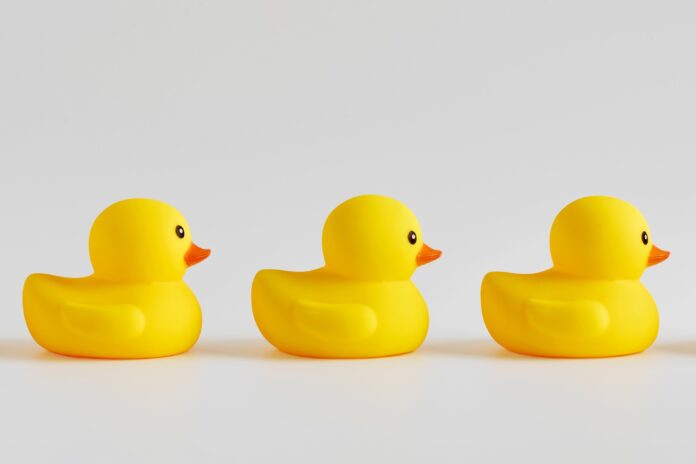 rubber ducks shutterstock