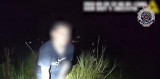 A man being apprehended in long grass.