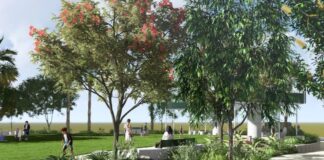 An illustration/artist's impression of a green space, complete with trees, lawn and a path.