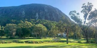 golf green and trees
