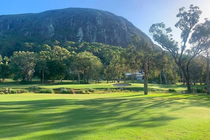 golf green and trees