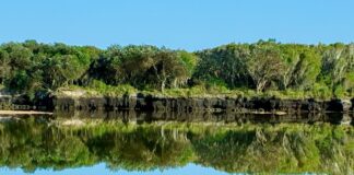 Reflection from Currimundi Lake