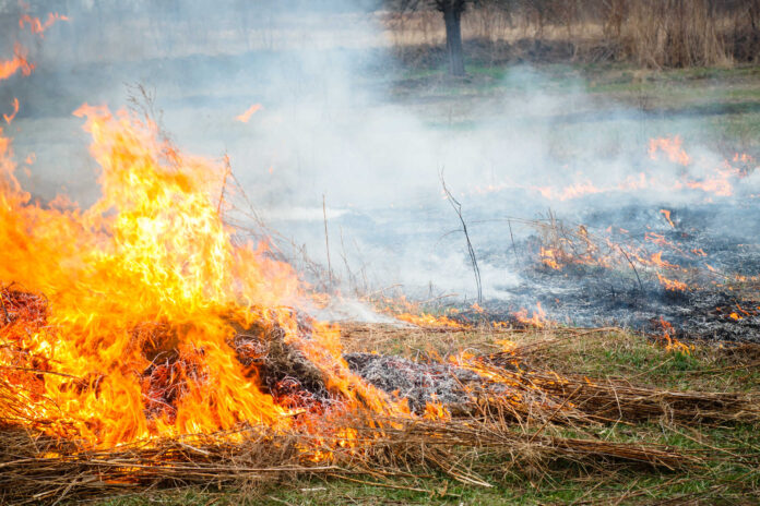A bushfire.