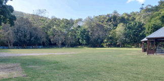 Lions Park at Noosa Heads, which will remain public open space over the Christmas holiday period.