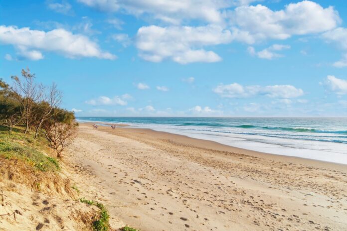 Peregian Beach, with sand, surf, and blue sky.
